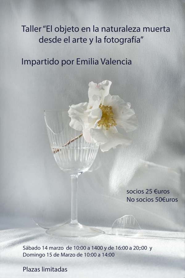 cartel bodegones emilia valencia