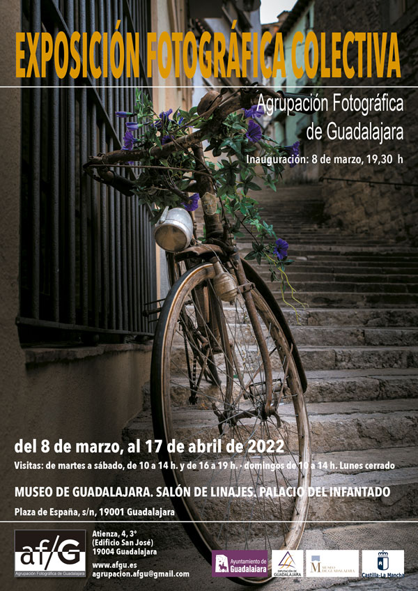 expo cartel