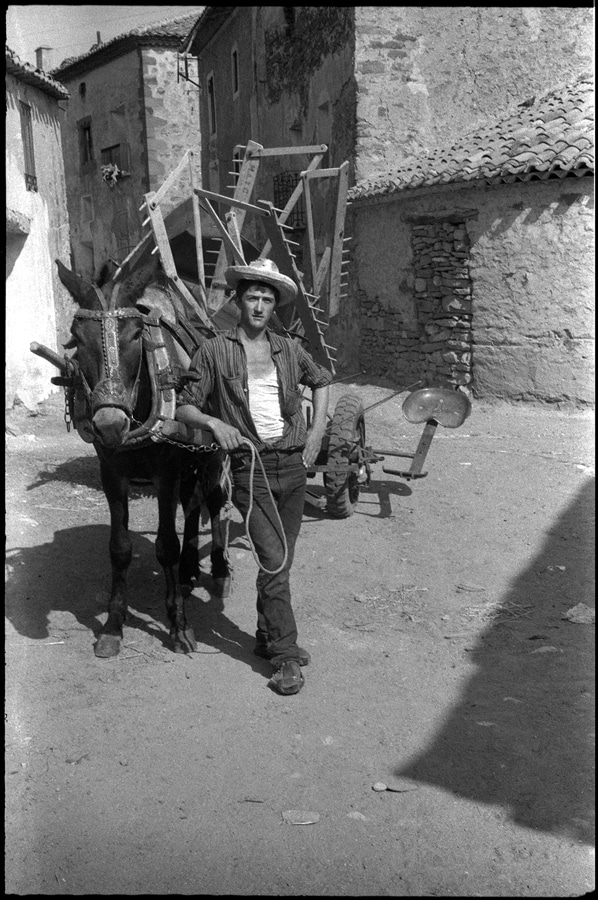 Setiles 1959 aprox Agricultor con mulaysegadora