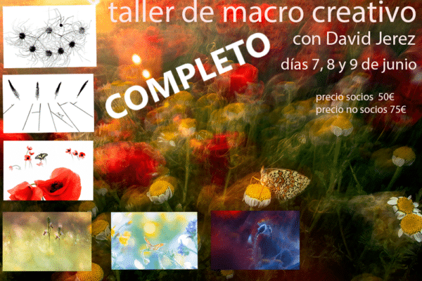 cartel taller macro creativo david jerez junio 2024 completo