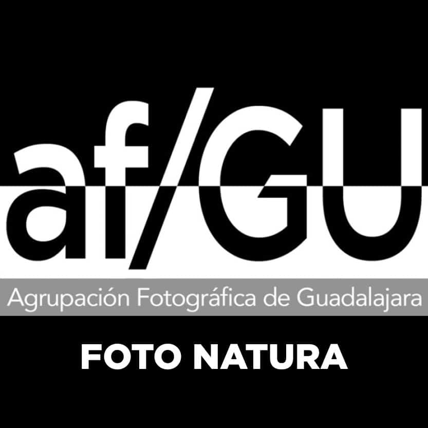 foto natura