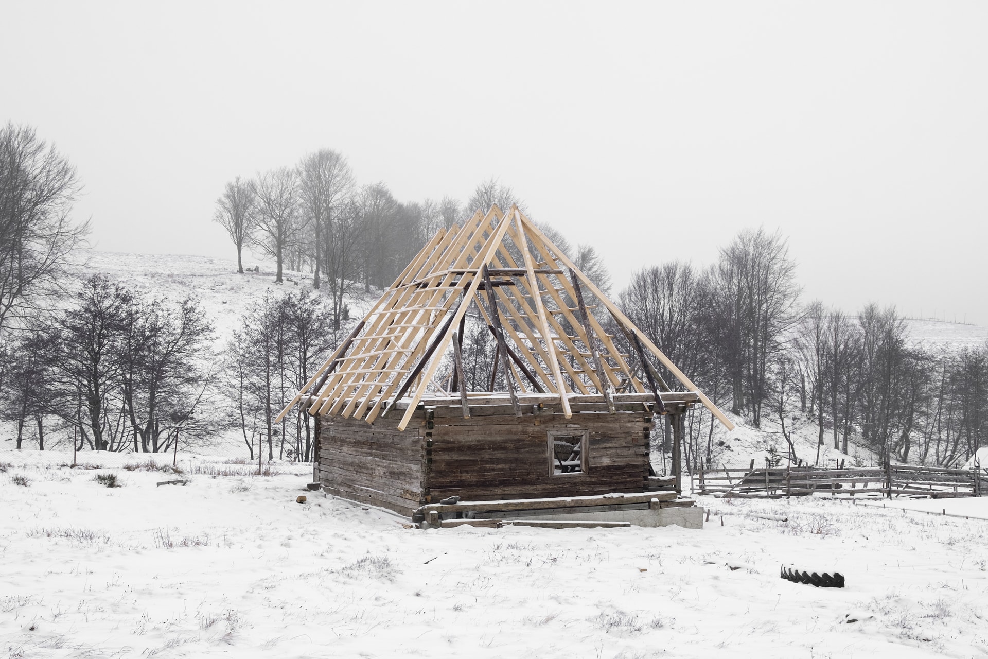 premio de honor 413 1031 maramures 3