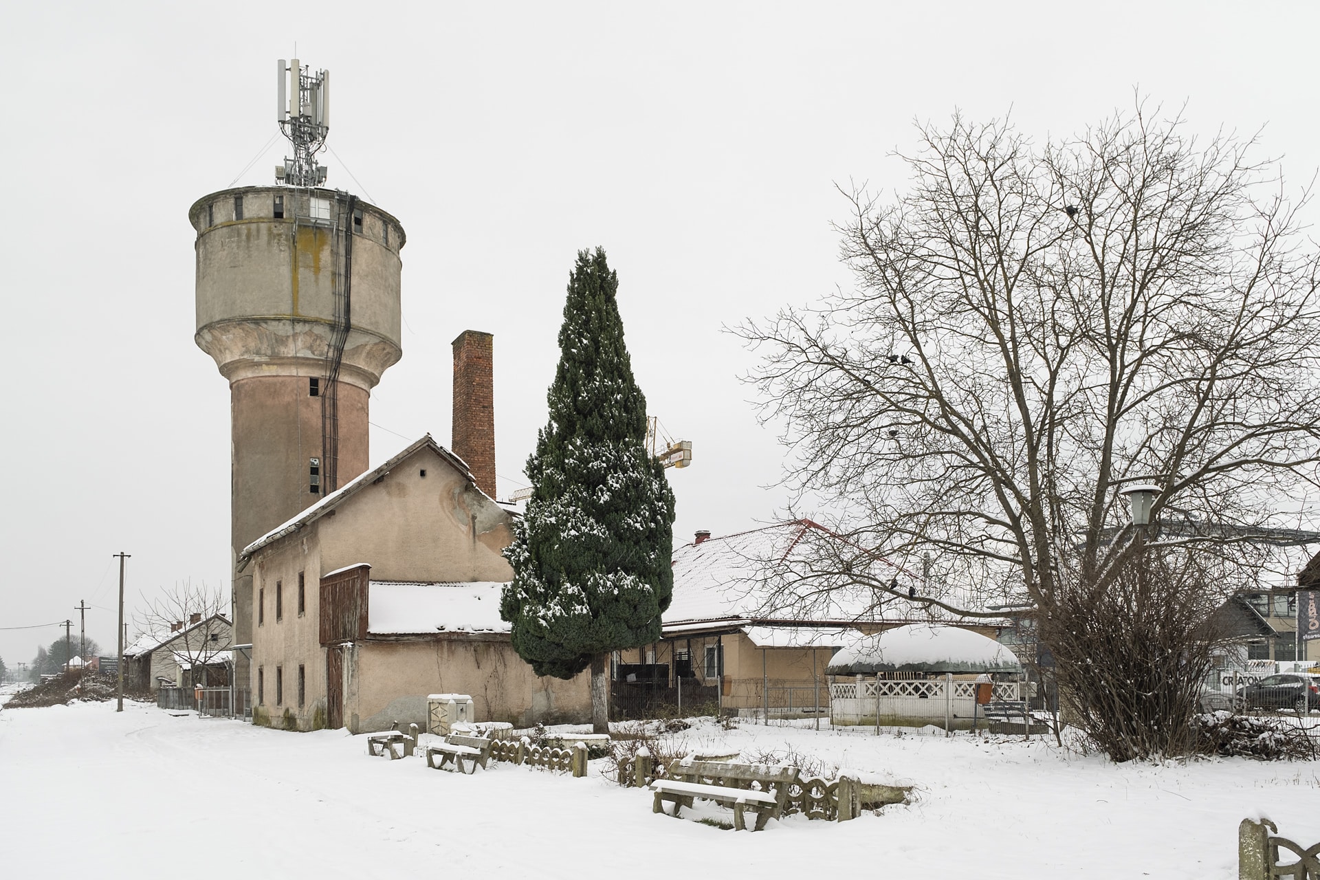 premio de honor 413 1031 maramures 4