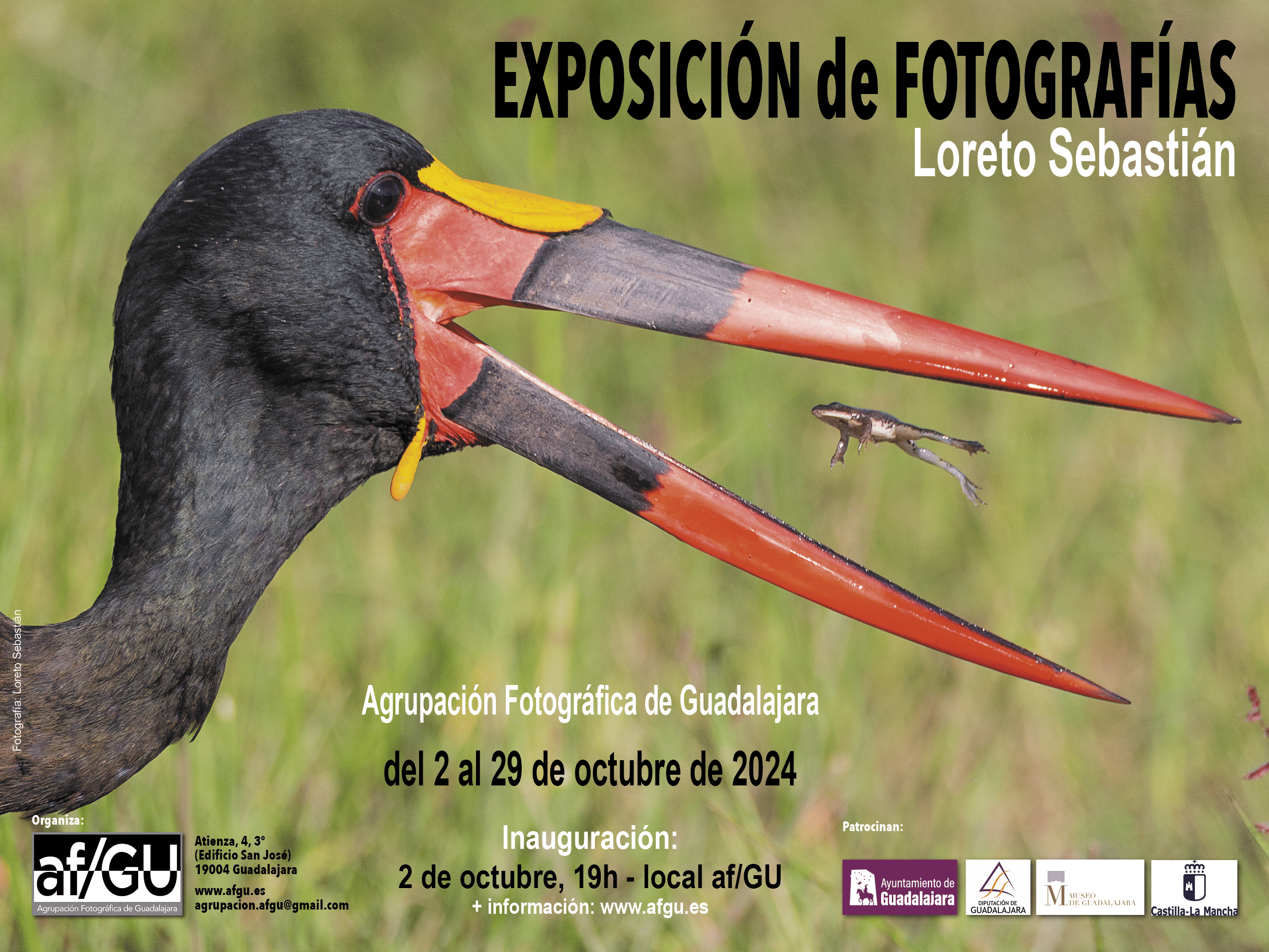 EXPO LOCAL LORETO OCT 2024 3 boletin