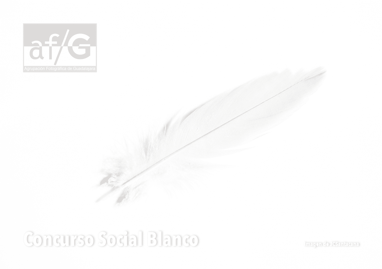 SOCIAL BLANCO