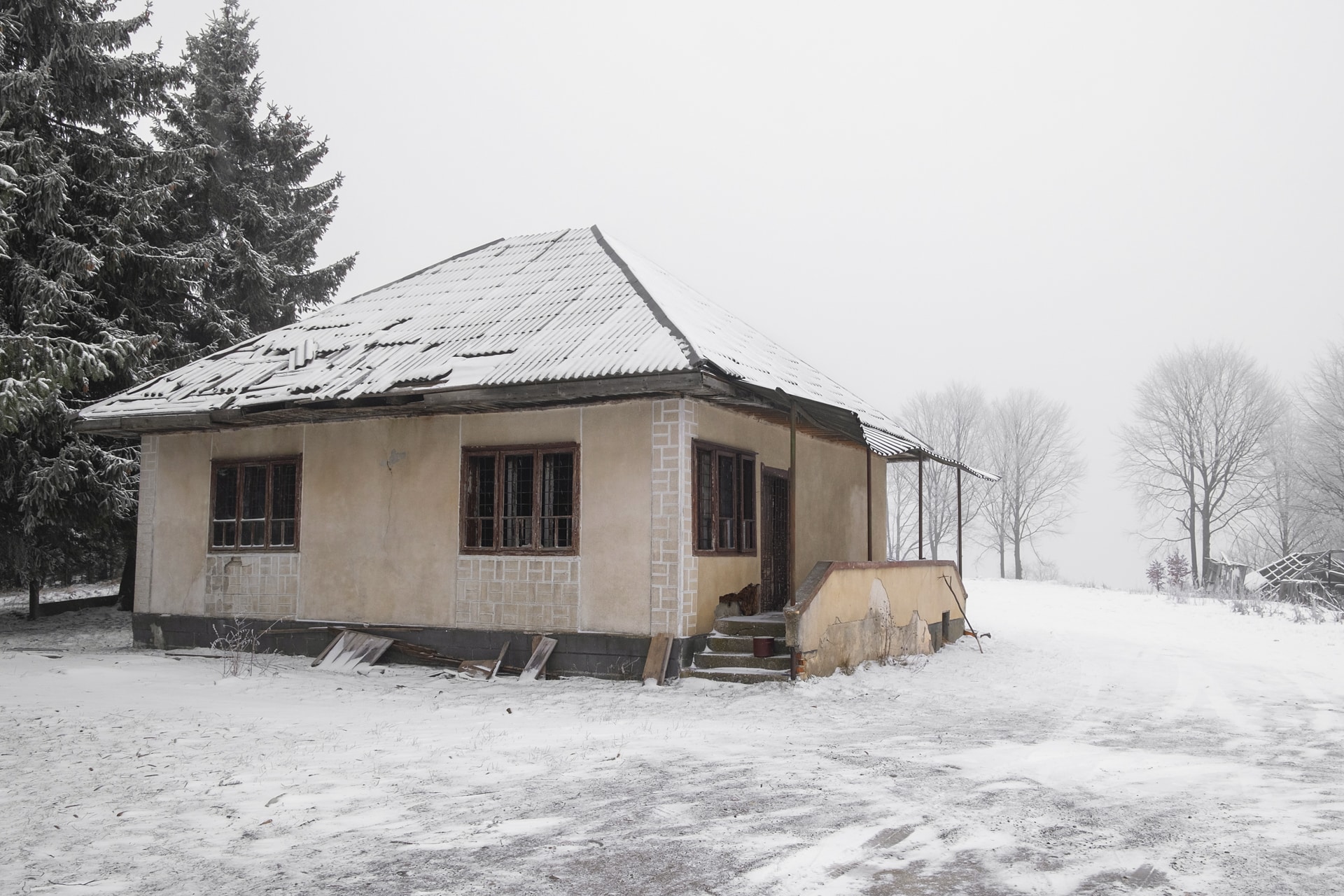 premio de honor 413 1031 maramures 1