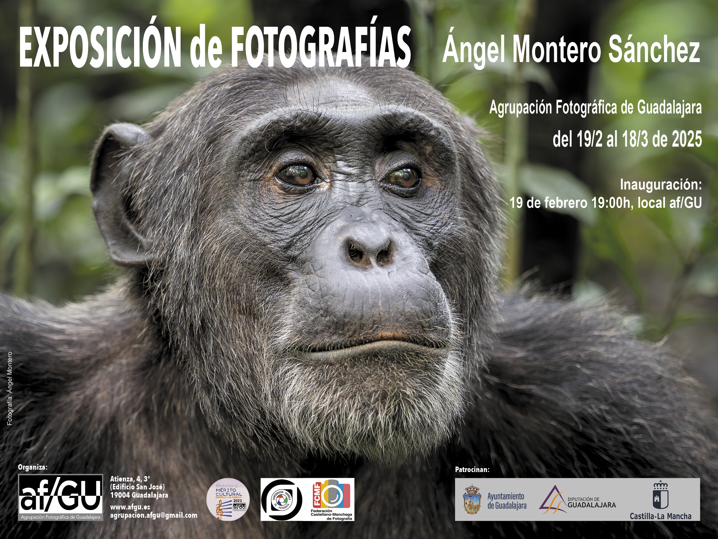 EXPO LOCAL ANGEL MONTERO CARTEL