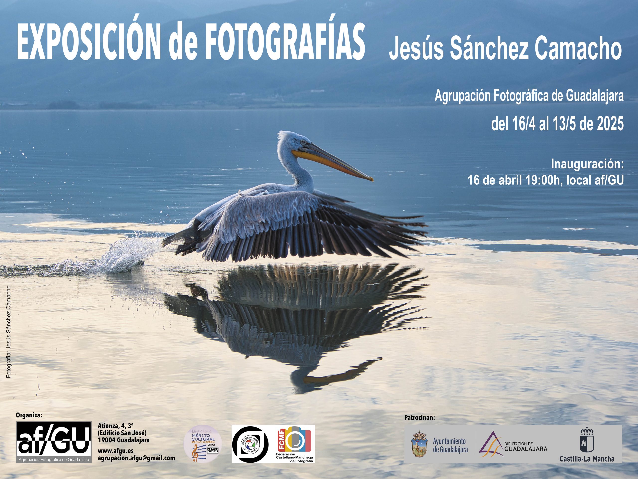 EXPO LOCAL JESUS CAMACHO CARTEL
