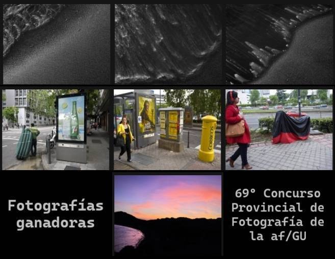 Provincial2025 Miniaturas Collage