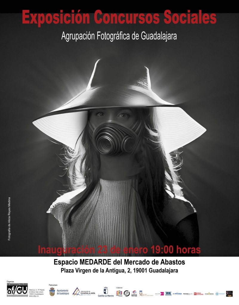 CARTEL EXPOSICION SOCIALES