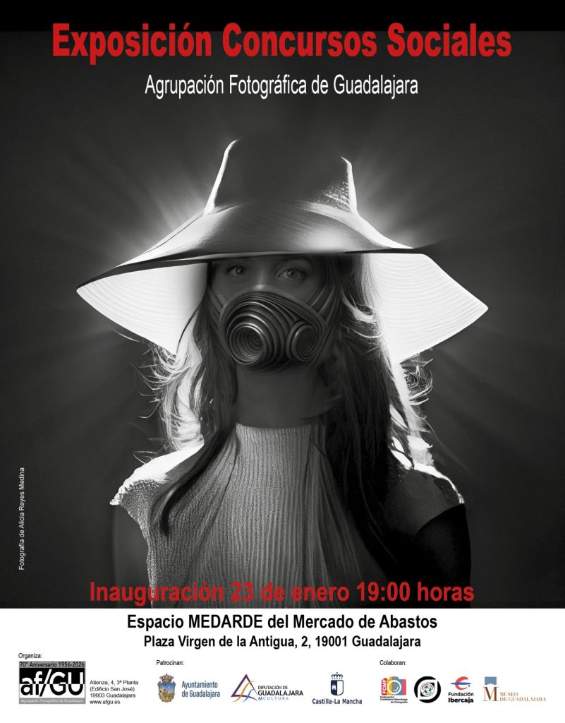 CARTEL EXPOSICION SOCIALES