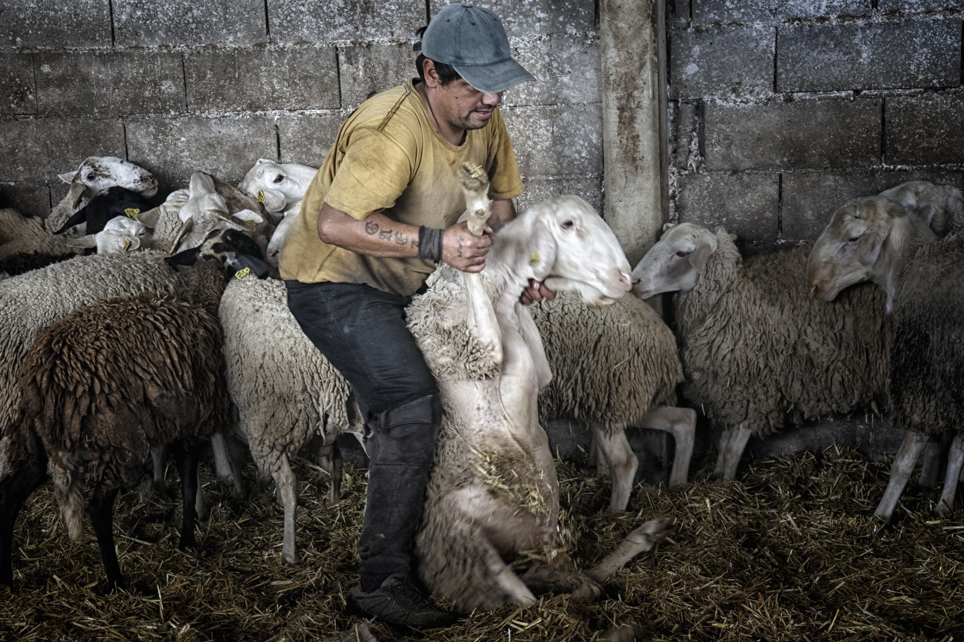 Esquila1 copia (1)