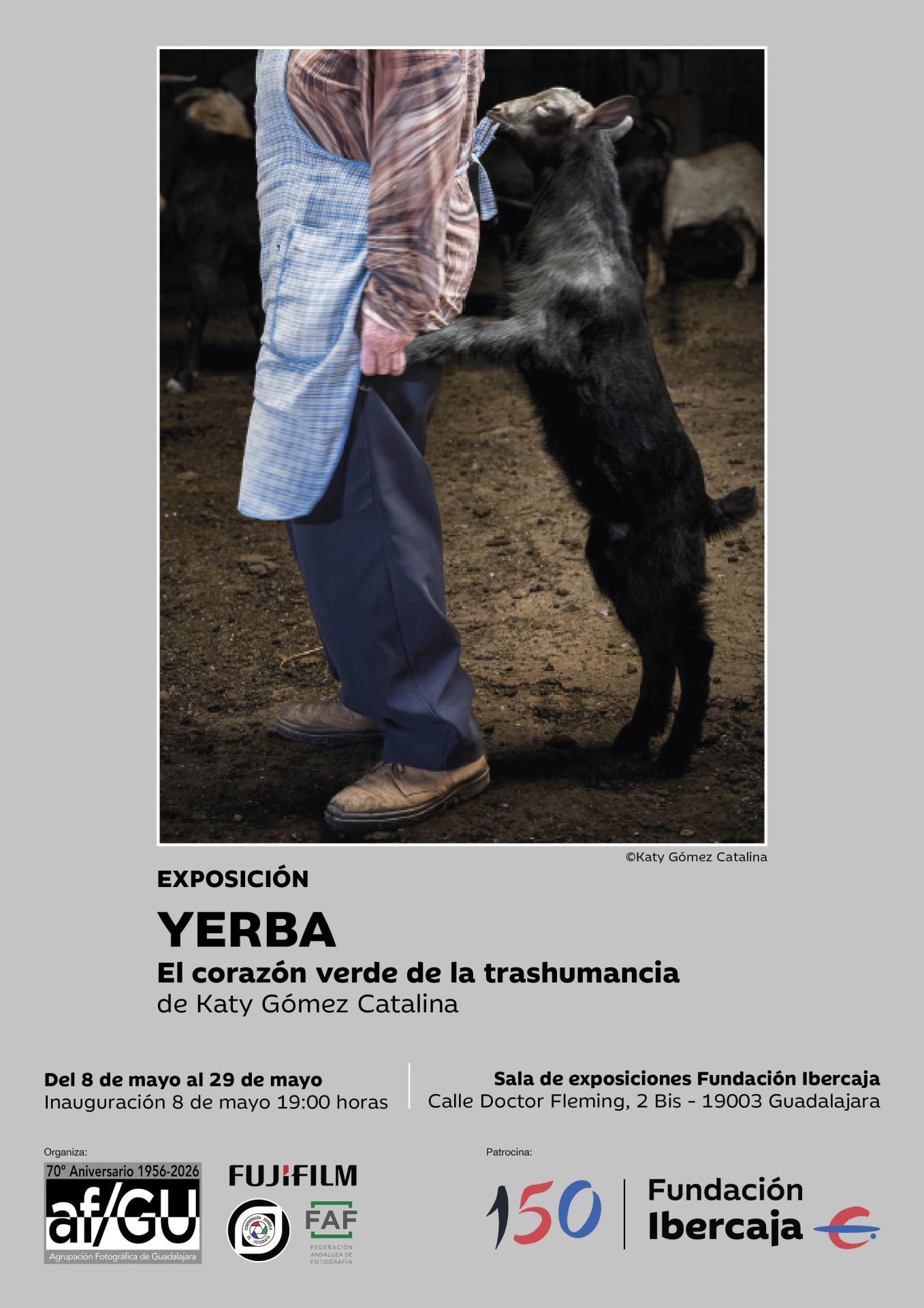 CARTEL EXPOSICIÓN KATY