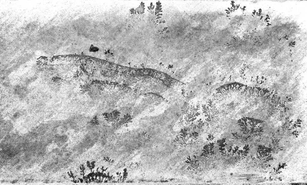 421 29596 5 Sierraslejanas