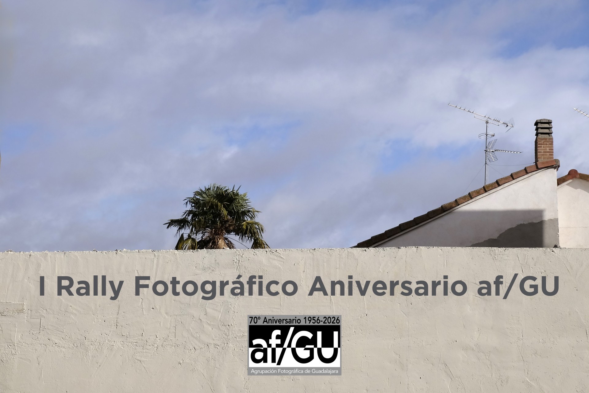 Guadalajara rally