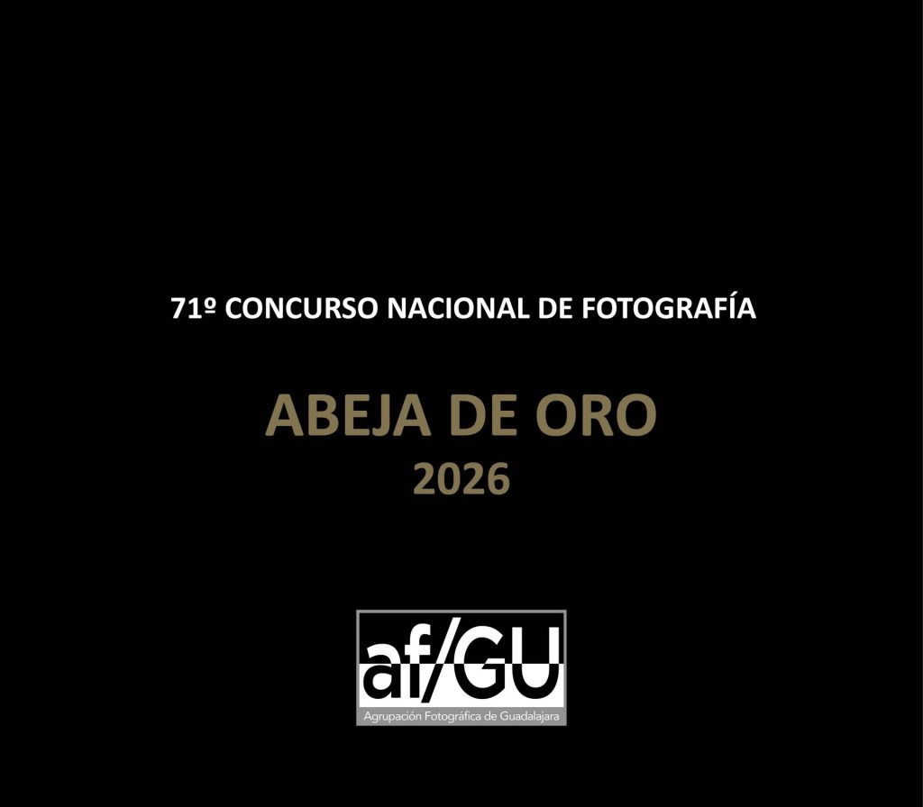 ABEJA 71 2026 CATALOGO DIGITAL